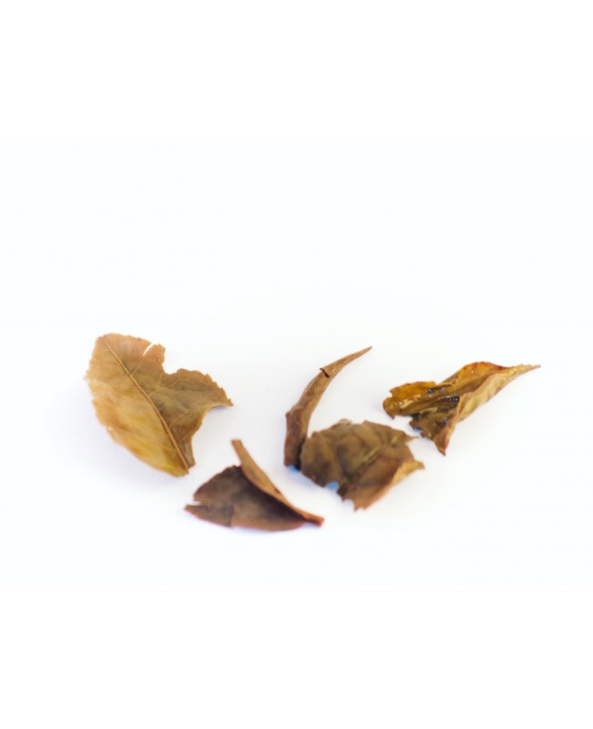 Kanchanjangha Noir ( Premium Black Loose Leaf Tea) 100gram