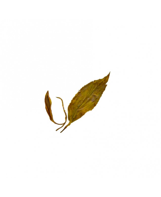 Shangrila Oolong(50gm)